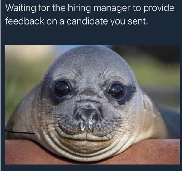 Where's the lie? 😂 

#TGIF #recruitinghumor #recruitmentmeme 

Credit: recruiterflow.com